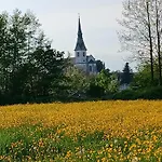 Flora