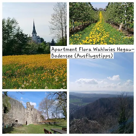 Apartment Flora Stockach