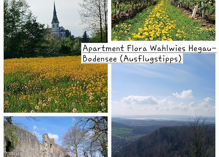 Apartamento Flora Stockach